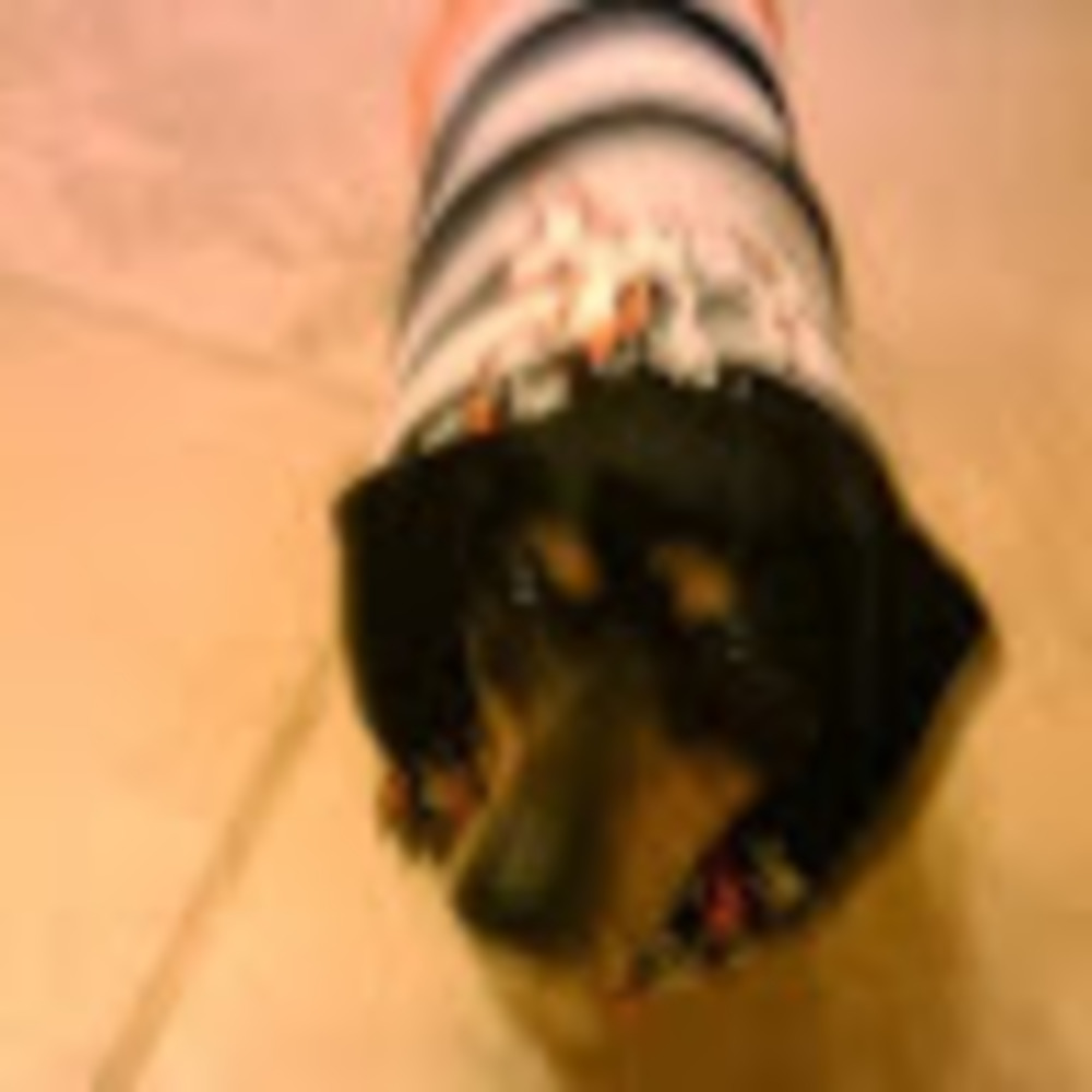 Meet your Posher, Tonya